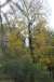 resIMG_20111006_0246.JPG